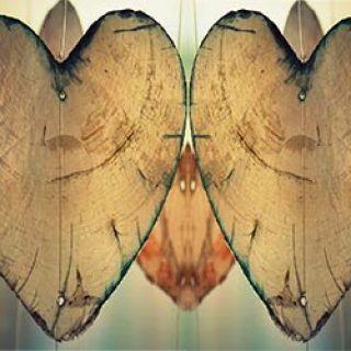 Hôtel LA MARINA SAINT-RAPHAËL ★ ★ ★ ★ CÔTE D'AZUR menu restaurant st valentin o239seo5jmdh15g91bl7kf06l0gogj5yhhzaqoc9s0 - Hôtel LA MARINA SAINT-RAPHAËL ★ ★ ★ ★ CÔTE D'AZUR